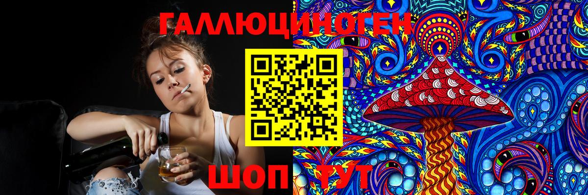 Псилоцибиновые грибы Psilocybe Россошь