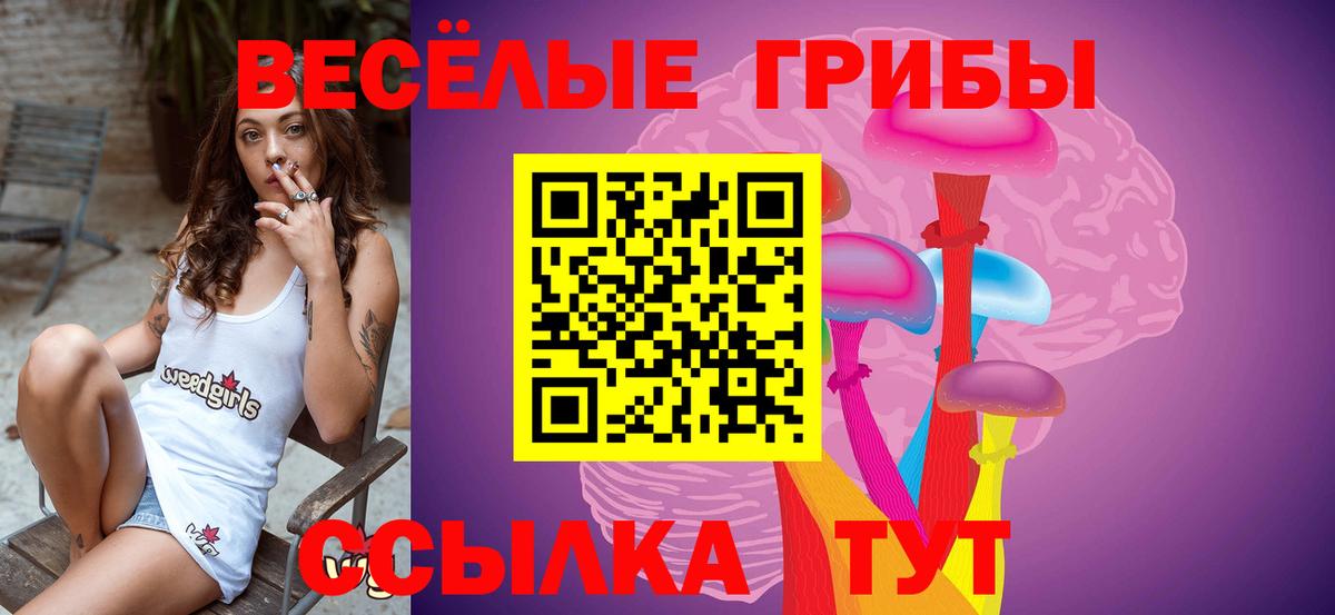 Галлюциногенные грибы прущие грибы  Галлюциногенные грибы ЛСД  Вход с VPN  Россошь 